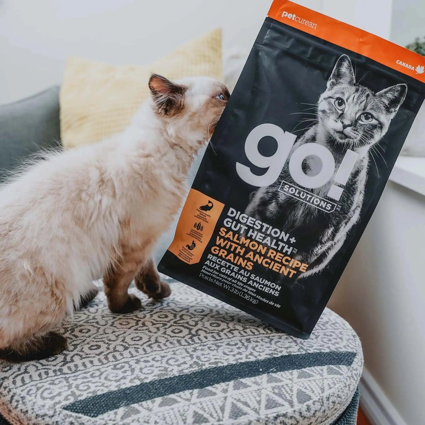 Go! Solutions Ancient Grain Digestion & Gut Health Recipe For Cats