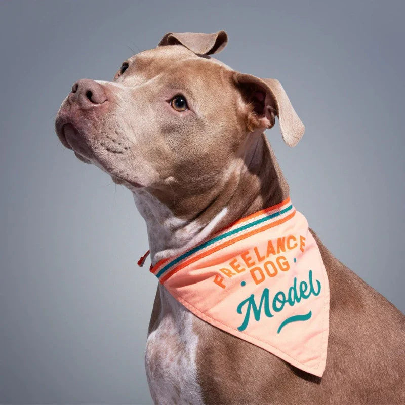 Brass Monkey Dog Bandanas