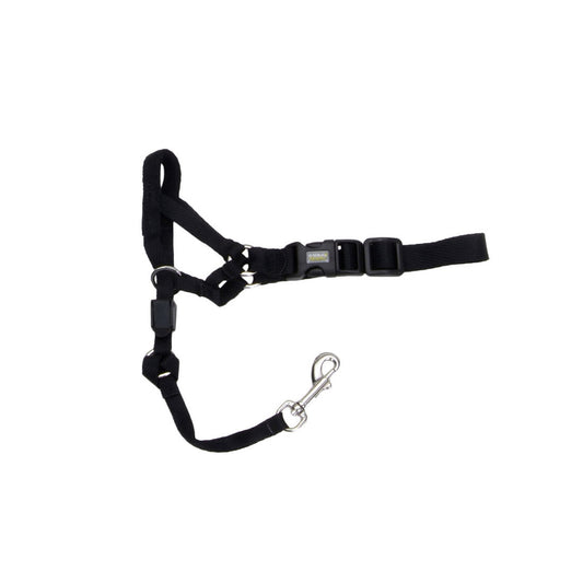 Walk 'n Train Dog Head Halter Black 1ea/SM
