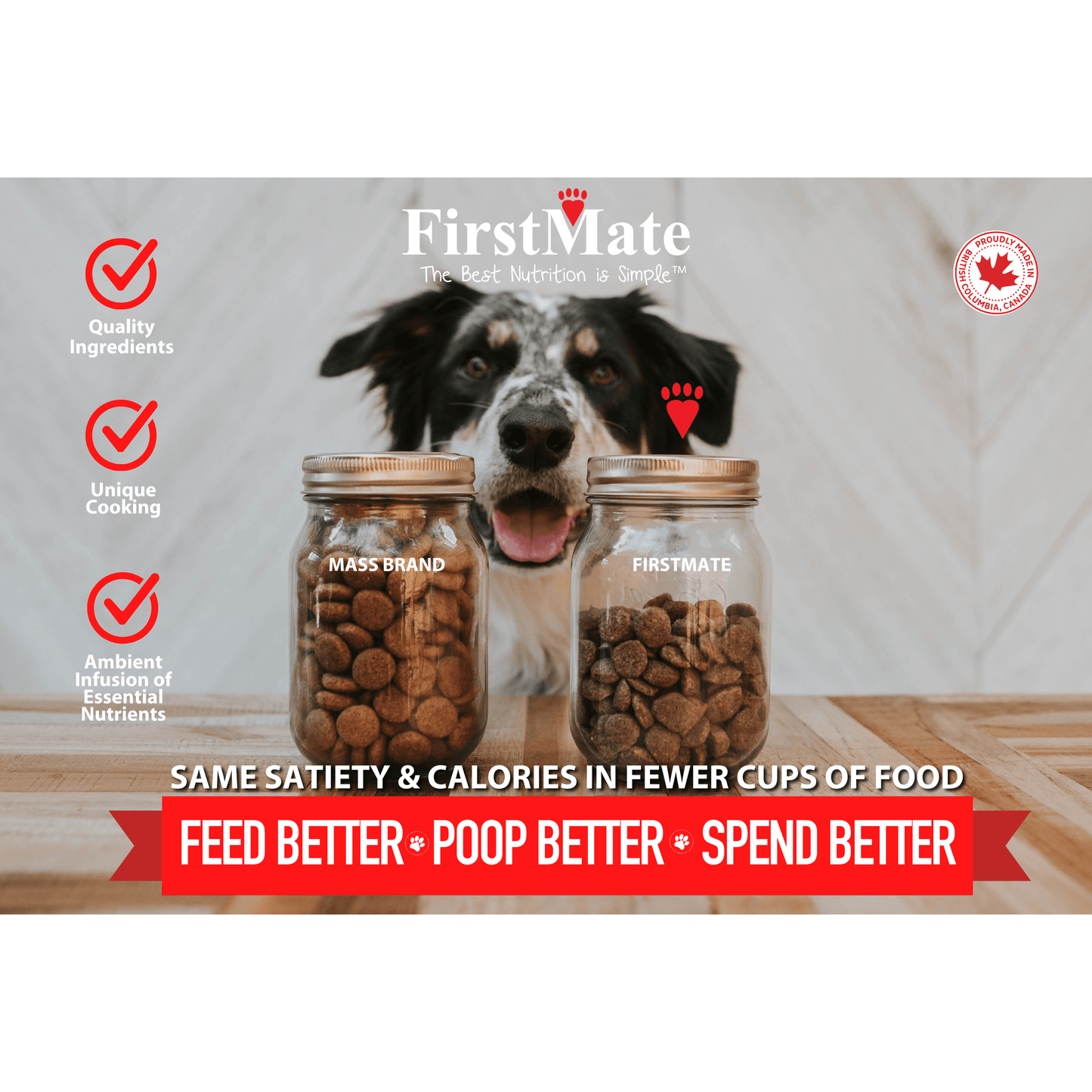FirstMate Grain Friendly Cage-Free Chicken Meal & Oats Dog Food