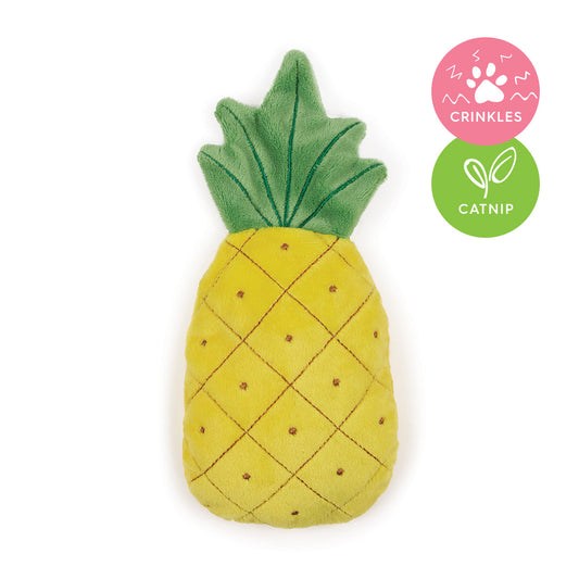 Crinkly Pineapple with catnip
