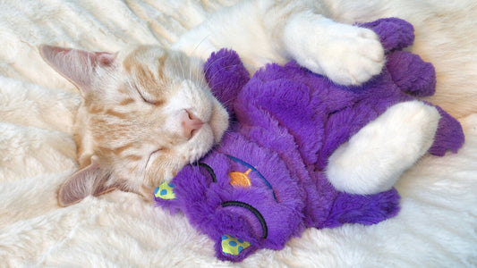 Petstages Purr Pillow Kitty Touch Activated Calm & Comfort Purr Cat Toy