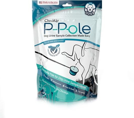 CheckUp | P-Pole Urine Collection Kit for Dogs