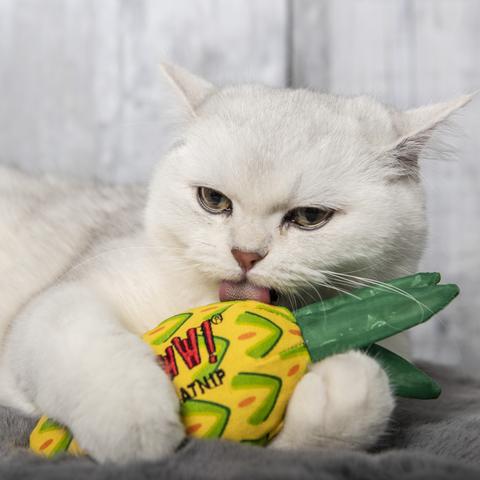 Yeowww Catnip Pineapple