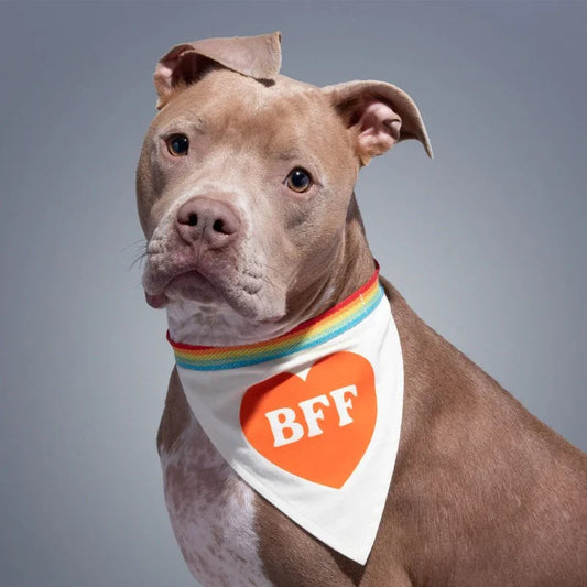 Brass Monkey BFF Dog Bandana